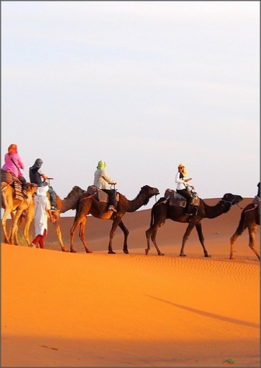 Standard Tent in Merzouga Camp Sahara