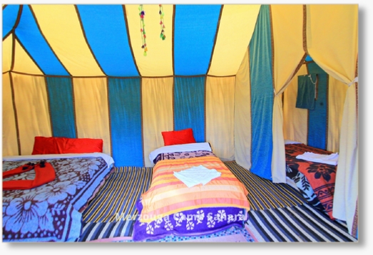 Standard Tent in Merzouga Camp Sahara